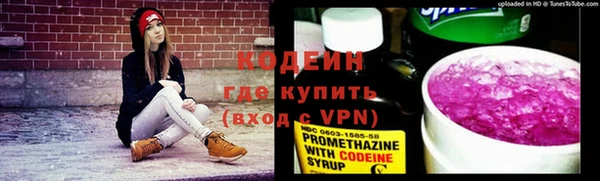 ECSTASY Пересвет