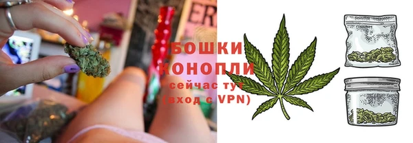 ECSTASY Пересвет