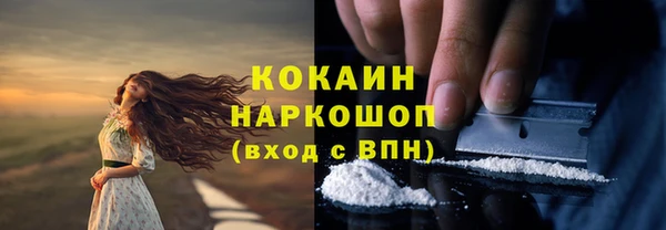 ECSTASY Пересвет