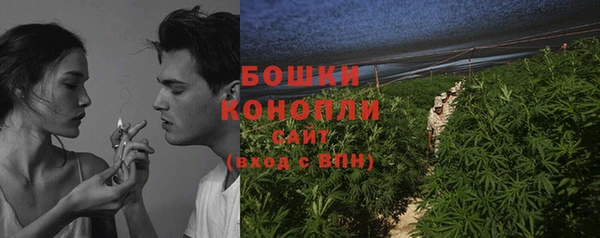 ECSTASY Пересвет