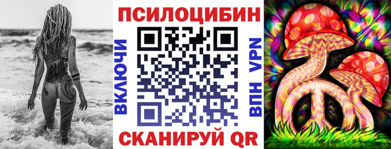 купить  сайты  Кашира  Галлюциногенные грибы Psilocybe 